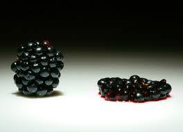 blackberry death - Blackberry, Beyonce & Big Data: Tech Year in Review