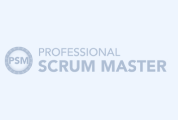 Professional SCRUM Master 2