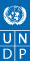 undp logo -