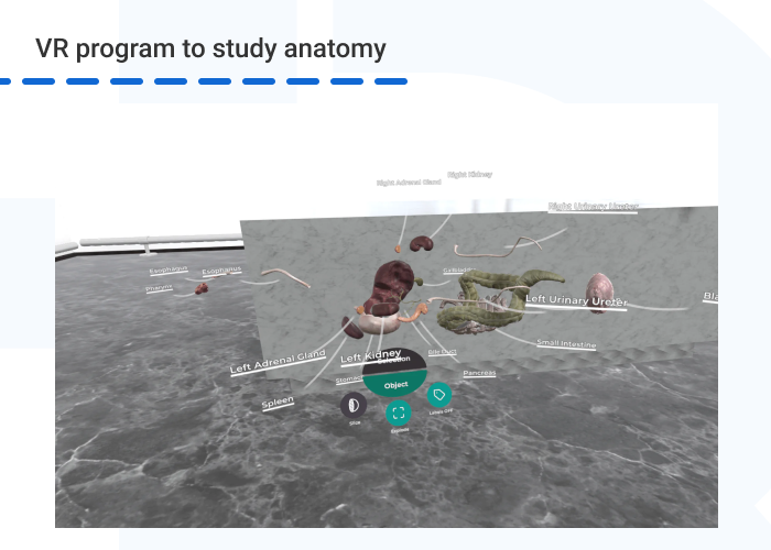 VR program to study anatomy 1 - A Digital Approach to Overcoming Geographical Barriers in Employee Training and Learning