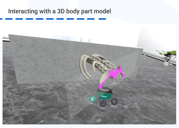 Interacting with a 3D body part model - Top 10 VR Trends of 2024: Future of Virtual Reality